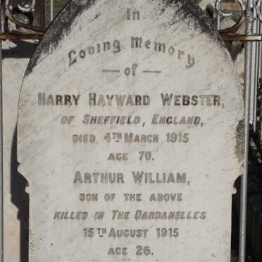 WEBSTER Harry Hayward -1915 :: WEBSTER Arthur William -1915
