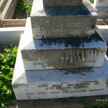 WEDDELL Andrew Mitchell 1863-1933