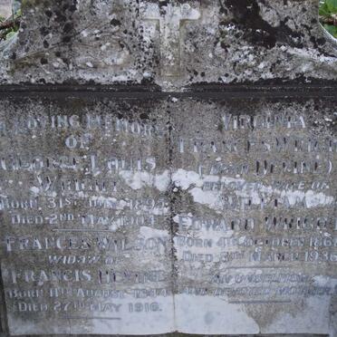 WILSON Frances 1844-1916 :: WRIGHT Virgina Frances DEVINE 1868-1936 :: WRIGHT George Louis 1895-1904