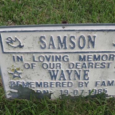SAMSON Wayne 1985-