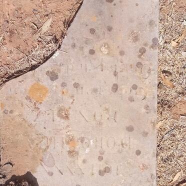 BONATZ Johanna Dorothea