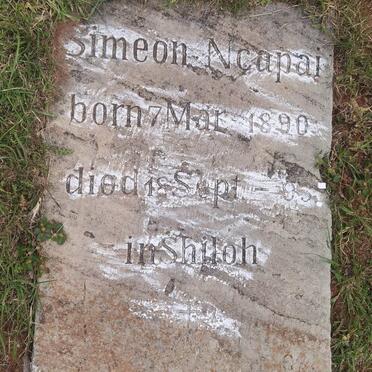 NCAPAI Simeon 1890-1893