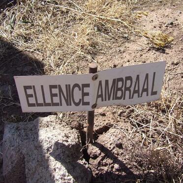AMBRAAL Ellenice