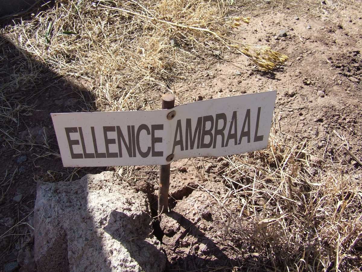 AMBRAAL Ellenice