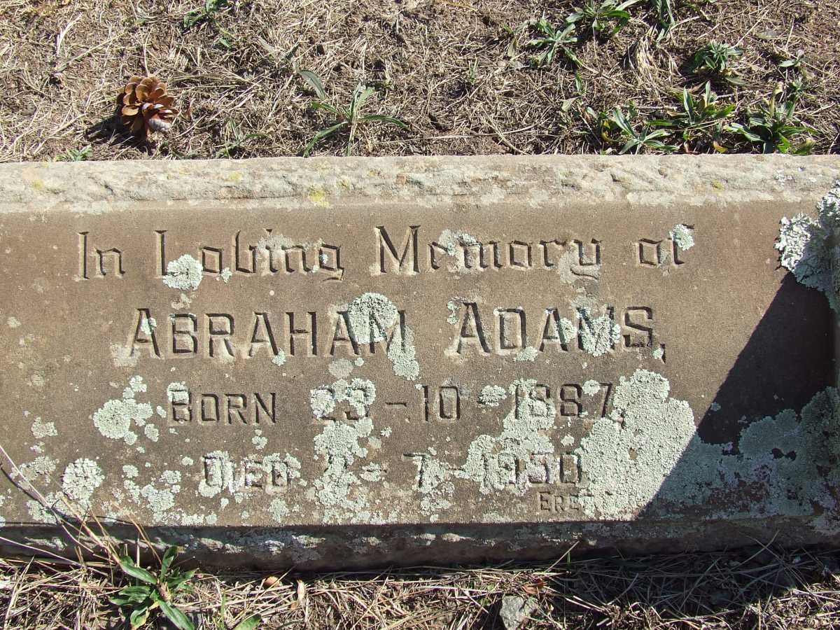 ADAMS Abraham 1887-1950