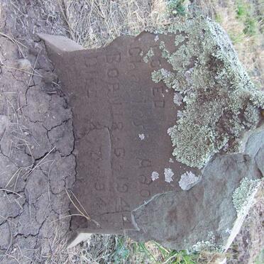 ADONIS Charles 1944-1944