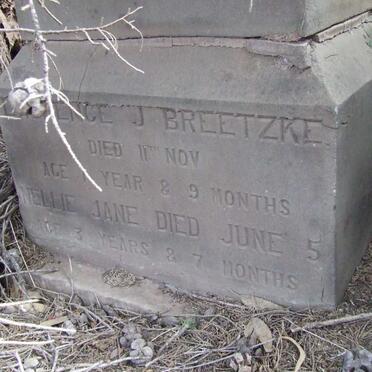 BREETZKE Muriel Edith -1894 :: BREETZKE Lawrence J. ? :: BREETZKE Nellie Jane ?