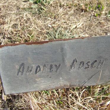 BOSCH Audrey