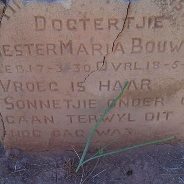 BOUWER Vanne