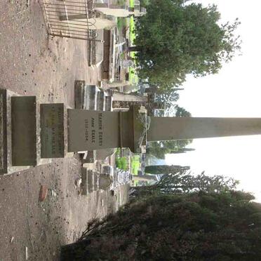  BERRY William Bisset 1839-1922 &amp; Marion BEALE 1839-1884 :: FITZGERALD Beatrice nee BERRY -1919