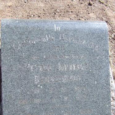 BEZUIDENHOUT Petrus Johannes 1894-1970 &amp; Ellie Evelina EKRON 1899-1956