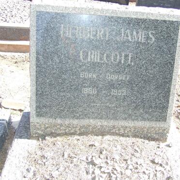 CHILCOTT Herbert James 1890-1953
