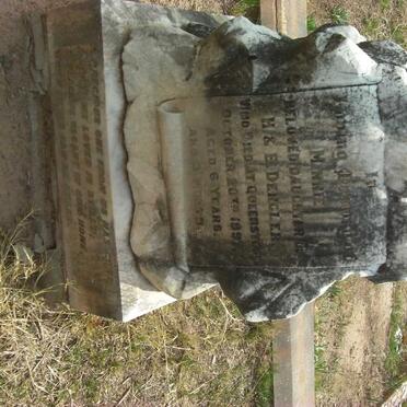 DENGLER Minnie -1897