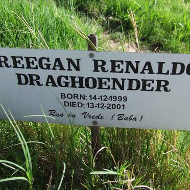 DRAGHOENDER Reegan Renaldo 1999-2001