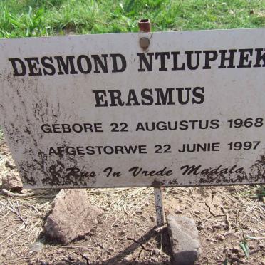 ERASMUS Desmond Ntlupheko 1968-1997