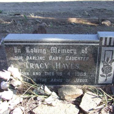 HAYES Tracy 1969-1969