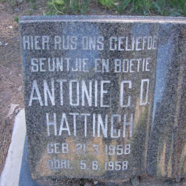 HATTINGH Antonie C.D. 1958-1958