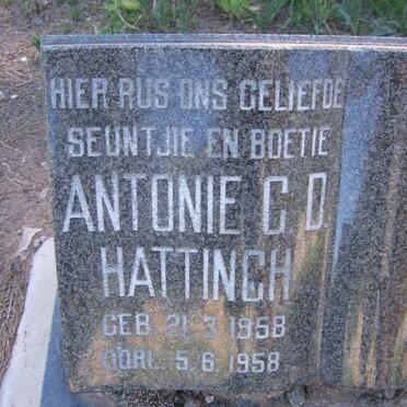 HATTINGH Antonie C.D. 1958-1958