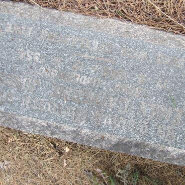 JONES Emily Catherine nee UNDERWOOD 1885-1954