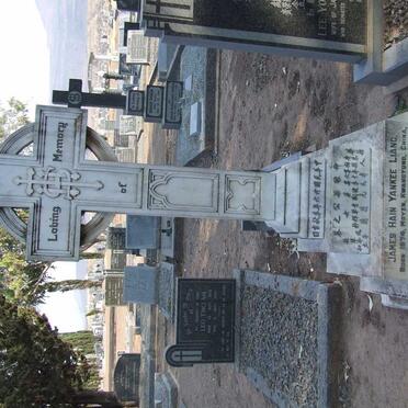 LAING James Hain Yankee 1874-1935