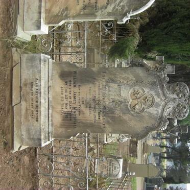 MARSHALL William James -1910 &amp; Lucy Martha -1908 :: MARSHALL Arthur Dewstoe :: MARSHALL 2 Infant Sons