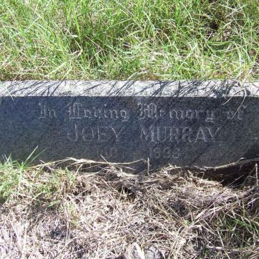 MURRAY Willie 1901-1966 &amp; Joey 1907-1998 :: MURRAY Cyril John