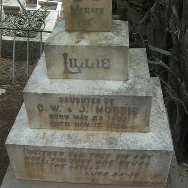 MORRIS Lillie 1885-1889