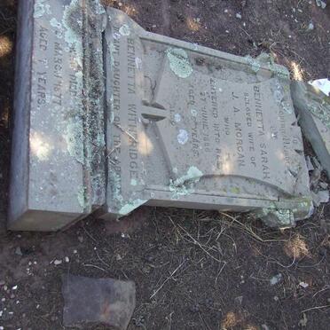 MORGAN Bennetta Sarah -1886 :: MORGAN Bennetta Witheridge -1877