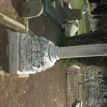 MORRIS Henry Chapple -1908