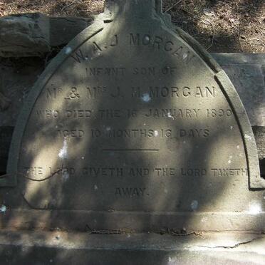 MORGAN W.A.J. -1890