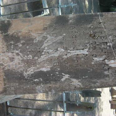 MORUM Mabel Kate :: MORUM Ada Marian