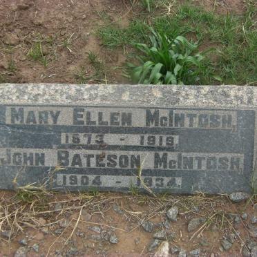 McINTOSH Mary Ellen 1873-1919 :: McINTOSH John Bateson 1904-1934