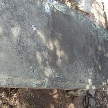 McGIBBON J.H.C. 1828-1971