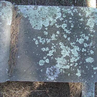 MEINTJES Rachel 1871-1949