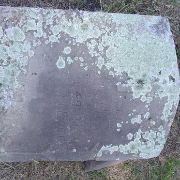 MENTOOR Elizabeth Sophia 1884-1949