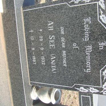 NOW Ah See, Ah 1932-1987