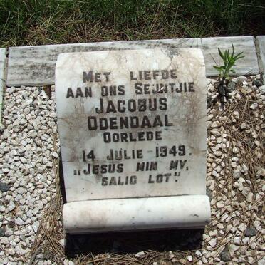 ODENDAAL Jacobus -1949
