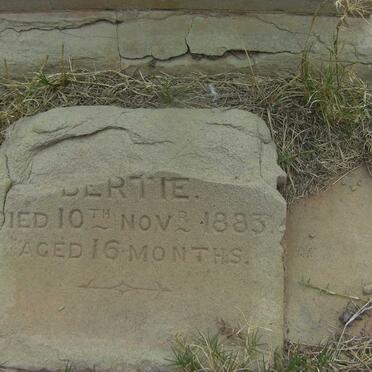 PARSONSON Bertie -1883