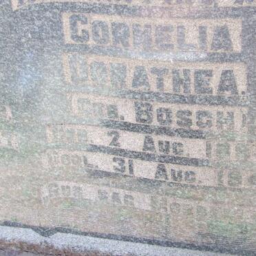 PRINSLOO Cornelia Dorathea nee BOSCH 1884-1942