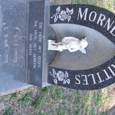 RITTLES Morne 1980-1981