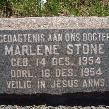 STONE Marlene 1954-1954