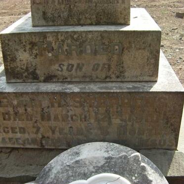 STEPHENS Harold 1902-1910