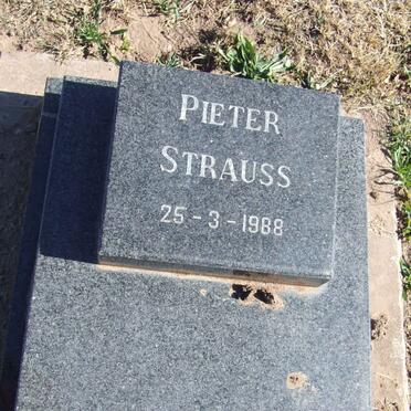 STRAUSS Pieter -1988