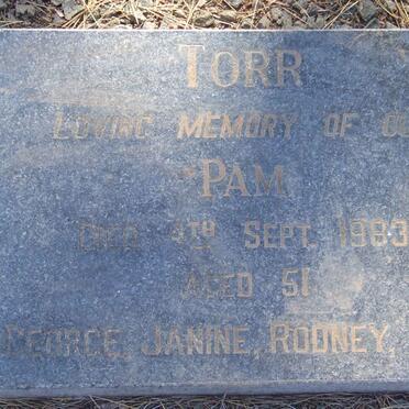 TORR Pam -1983