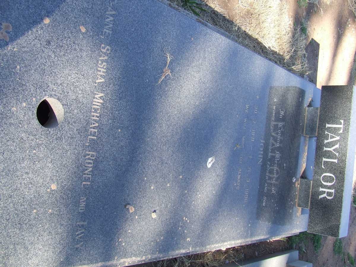 TAYLOR John 1971-1996