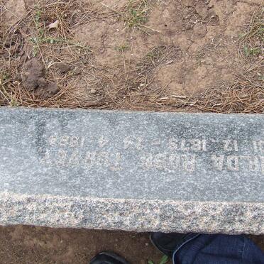 TURVEY Hilda Rose 1875-1954 