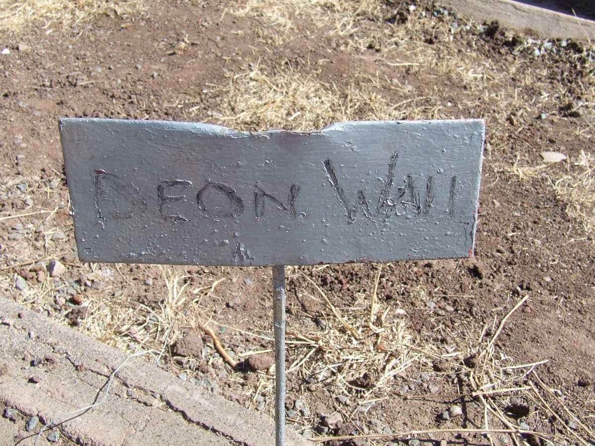 WALL Deon