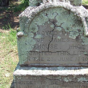 WHITEHOUSE Sarah Joyce -1890