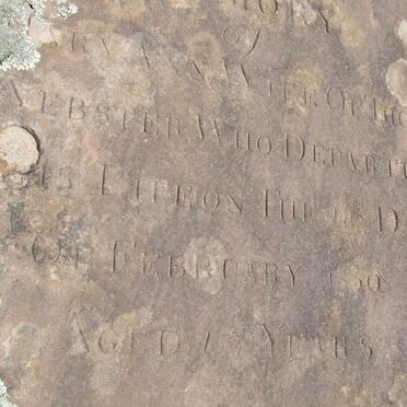 WEBSTER Mary Ann -1850