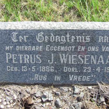 WIESENAAR Petrus J. 1886-1966
